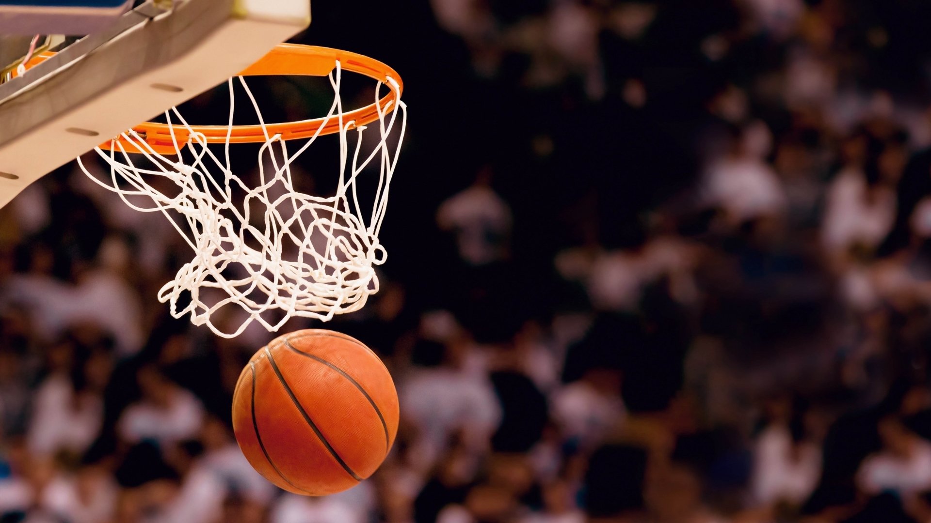 体坛乱纪元,当CBA遇上NBA,再与欧冠擦肩而过